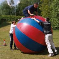 Afbeelding 2